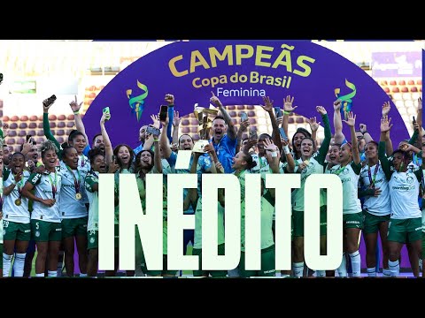 image para ilustrar o artigo