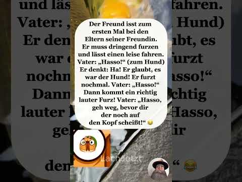 🐶Der Hund ist schuld🤣