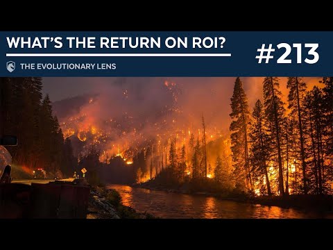 What’s the Return on ROI? The 213th Evolutionary Lens with Bret Weinstein and Heather Heying