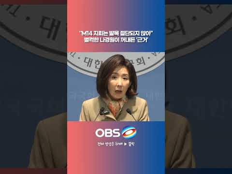"<strong>M14</strong> 지뢰는 발목 절단되지 않아" 벌컥한 나경원이 꺼내든 '근거'  #쇼츠 #이대통령 #강신철 #국방부 #북한 #DMZ #폭발사고 #지뢰 #매립