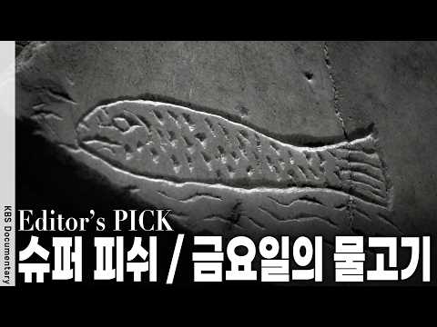 예수와 물고기는 무슨 관계일까? 초기 기독교인들이 지하묘지에 그린 그림의 의미 | KBS 대기획 20120826 방송