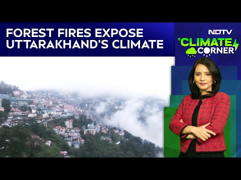 Dry, Dangerous Winter: Forest Fires Near Nanda Devi Expose Uttarakhand’s Climate Crisis