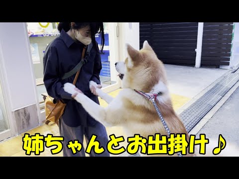 姉ちゃんとお出掛け散歩秋田犬そら君シェパード犬マックお留守番