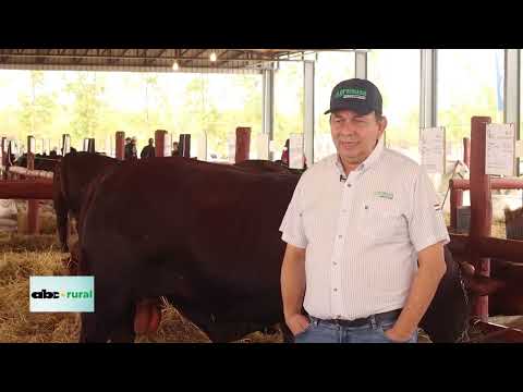 Nutrición estratégica para bovinos en el Chaco