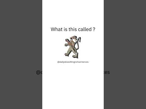 What is this called?