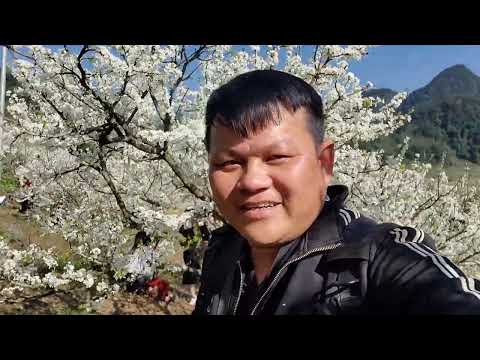 #moingaymotcauchuyen Mộc châu 2025