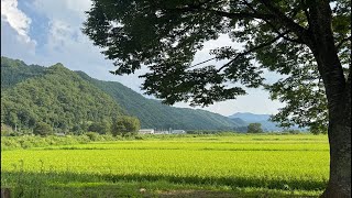 Q.30歳オーバーでこれからアニメーターになるために必要なものは？