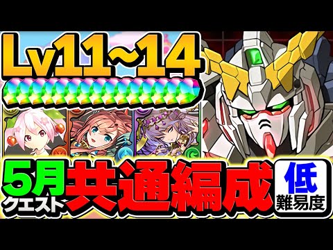 【魔法石50個】世界で一番編成難易度低め！LV11-LV14を共通編成で攻略！【パズドラ】