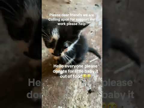 please help my dear friend's help and support my work