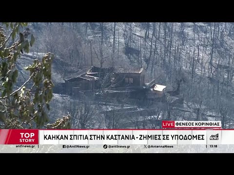 Φενεός: Σε ύφεση η φωτιά - Μάχη με διάσπαρτες εστίες