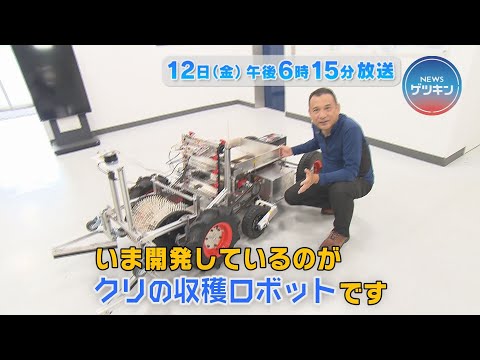 【番宣】9月12日(金)NEWSゲツキン