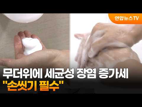 무더위에 세균성 장염 증가세…"손씻기 필수" / 연합뉴스TV (YonhapnewsTV)
