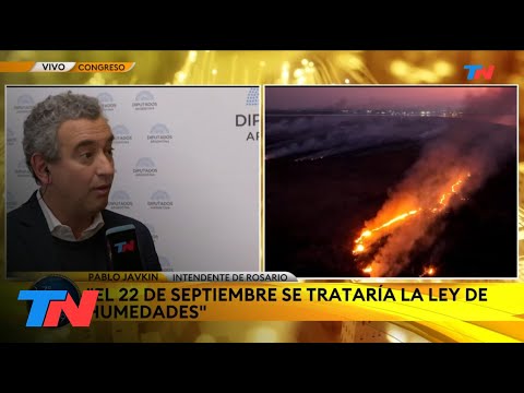 LEY DE HUMEDALES I FUEGO IMPARABLE EN EL DELTA Es una crisis ambiental sin precedentes P. Javkin
