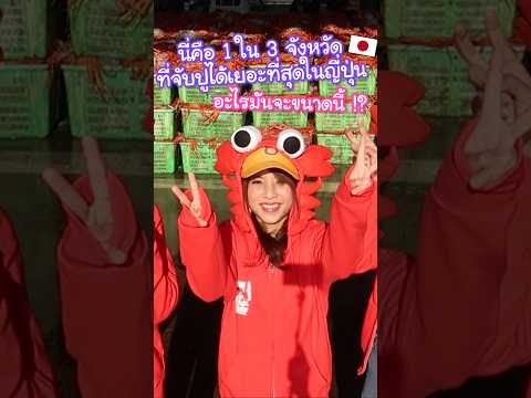 1 ใน 3 จังหวัดที่จับปูได้เยอะที่สุดในญี่ปุ่น !? ออกทะเลครั้งเดียวจับได้ขนาดนี้เลย #ญี่ปุ่น