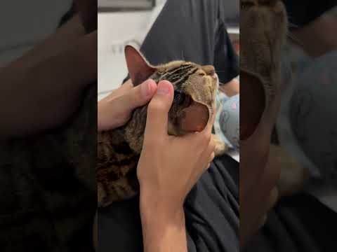 Oula le dérapage 🤣