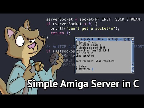 Building a Simple Server in C for the Commodore Amiga