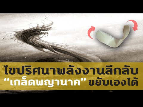 เรื่องราวแปลกประหลาด-เกล็ดพญาน เรื่องราวแปลกประหลาด-เกล็ดพญาน