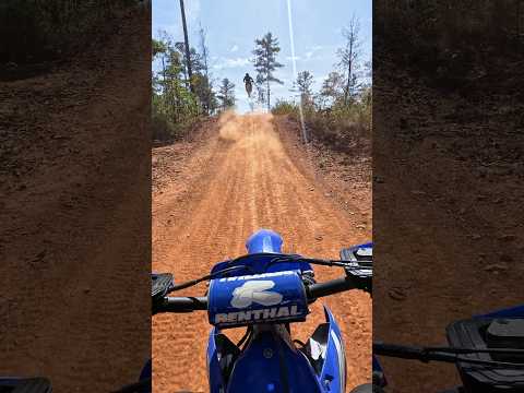 a narrow track in the woods of Georgia