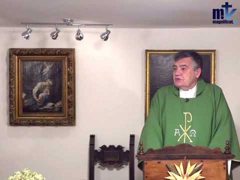 Homilía de hoy | Martes, I semana del Tiempo Ordinario | 12.01.2021 | P. Santiago Martín FM
