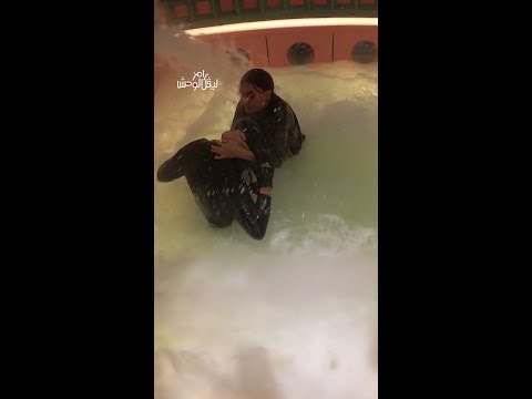 بعد علقة ساخنة من غادة عبدالرازق.. رامز جلال: هنغرق كلنا