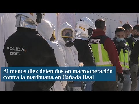 Al menos diez detenidos en macrooperación contra la marihuana en Cañada Real