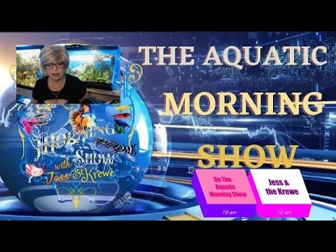 Please Join Me on The Aquatic Morning Show It will be just like old times.  Join me on TAMS, May 22 at 10 am. est.

#TAMS #aquatic #livestreasm