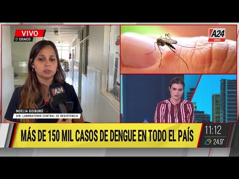 Récord de dengue en Chaco
