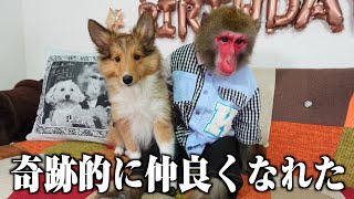動画サムネイル