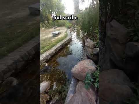 Surah Baqarah #quran #urdu #transition #trending #shorts