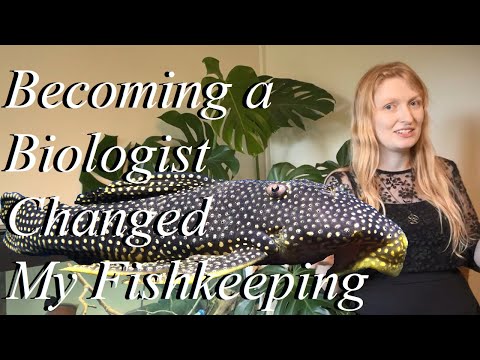 How my fishkeeping changed since becoming a Fish B Since becoming a freshwater fish biologist it has changed how I keep fishes in aquariums from water 
