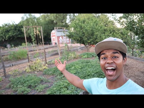 Starting A farm!!!