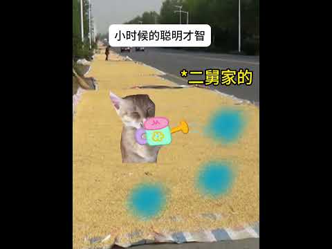 猫の動画サムネイル - 小时候的聪明才智#有趣 #猫meme #猫meme剧场 #猫meme小剧场 #内容过于真实  #故事 #貓 #猫猫meme小剧场 #喵不可言