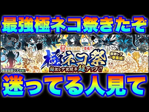 猫の動画サムネイル - 最強極ネコ祭ガチャきたけど、エヴァガチャとどっち迷ってる人見て　#にゃんこ大戦争　#battlecats