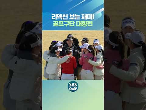 보기만 해도 기분 좋아지는 선수들의 리액션