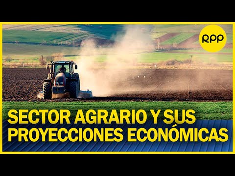 ¿Cuáles son las proyecciones económicas en el sector agrario?