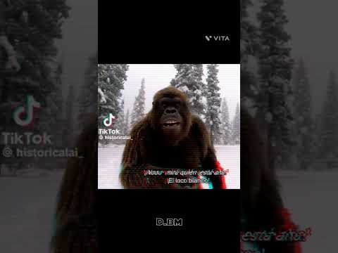 solo paso 1 año 💀🗿 #edits#ia#inteligenciaartificial#humor