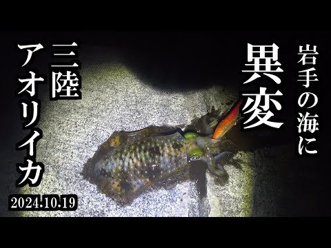 【岩手初アオリイカ】昨年の三陸エギングの異常さ。三陸つりしとがんせ　vol 95