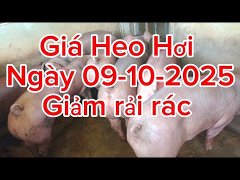 Giảm rải rác