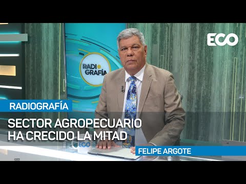 Impacto del sector agro en economía panameña | #RadioGrafía