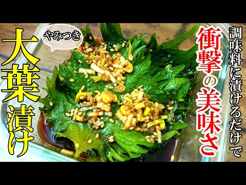【大量消費】『大葉の醤油漬け！』☆調味料混ぜて浸けるだけ！簡単やみつきおつまみ☆