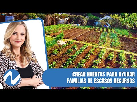 Crear Huertos para ayudar familias de escasos recursos | Nuria Piera