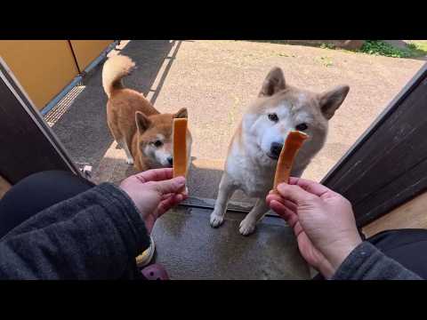 2026年5月26日(火) はじめての【ちゅーいんぐかむかむ】