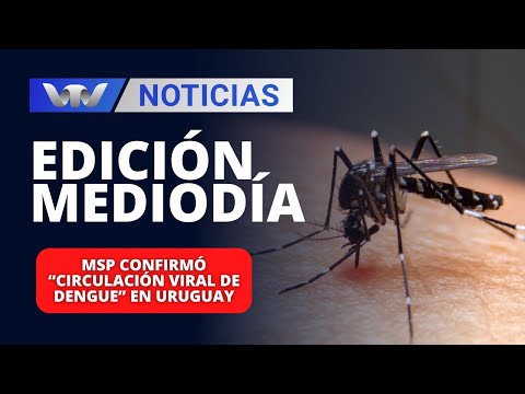 Edición Mediodía 05/03 | MSP confirmó “circulación viral de dengue” en Uruguay