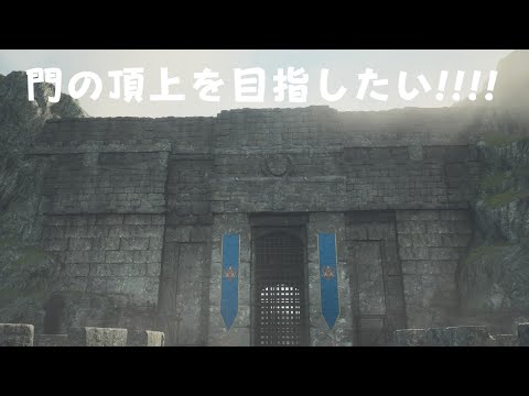 【ドラゴンズドグマ2】国境を越えるために門の上から密入国してみた!!!!#ドラゴンズドグマ2#DragonsDogma2#ゲーム実況#1周年#オープンワールド#DD2#RPG#王道ファンタジー#密入国