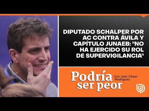 Diputado Schalper por AC contra Ávila y capítulo Junaeb: No ha ejercido su rol de supervigilancia