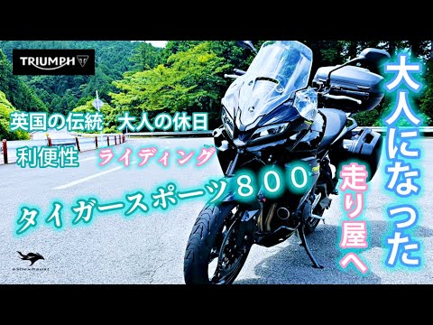 積載豊富 【タイガースポーツ８００】は休日の楽しみが全部詰まっている大型バイクだ