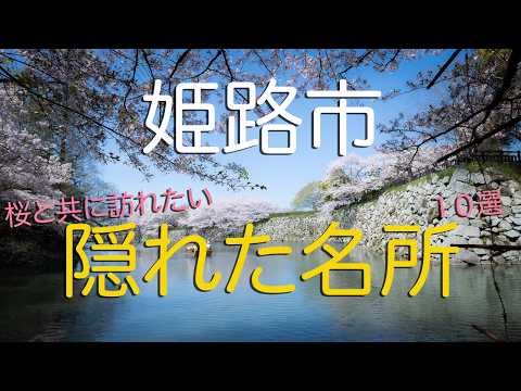 【桜の名所】姫路城に花見に来たら一緒に行きたい姫路市の隠れた名所10選|The 10 Best Spots in Himeji City, Hyogo, Japan.