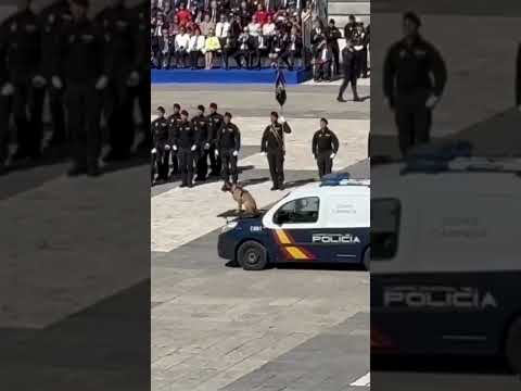 El campeón de la celebración del Bicentenario de la Policía Nacional, en el Palacio Real
