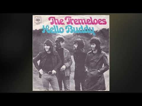 The Tremeloes   -   Hello buddy    1971    LYRICS
