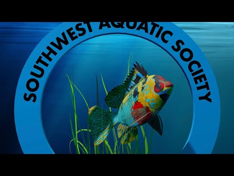 SAS Swap Meet @ Discount Aquarium, 4 October 2020 